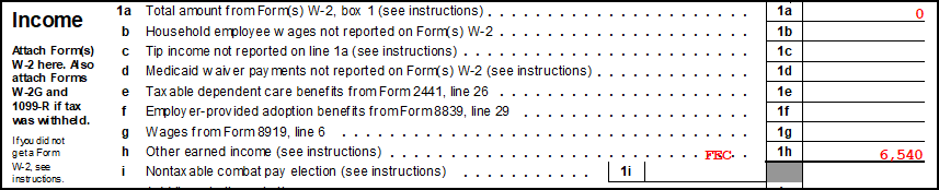 Image of Form 1040 showing FEC.